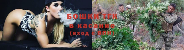эйфоретик Аркадак
