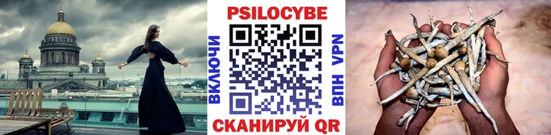 Псилоцибиновые грибы Cubensis Баймак
